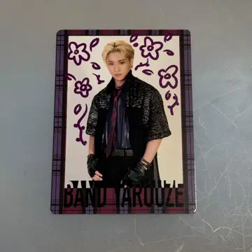 마츠이 리키 포토카드 시크레