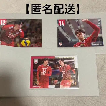 배구 남자 일본 대표 엽서 컬렉션 이시카와 유키 타카하시 란