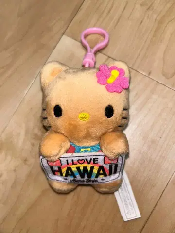 헬로키티 하와이 키링