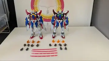 [ 조립 완료 ] RG 갓건담 일반 버전 & 제일복권 버전