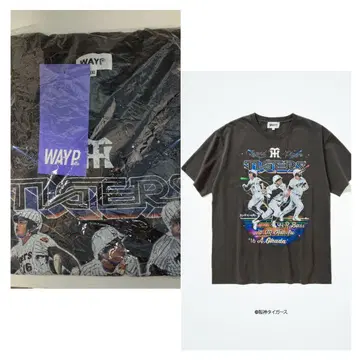 HANSHIN Tigers / WAYP MUSIC