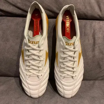 MORELIA NEO4 모렐리아 네오4 26