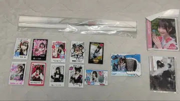 앳홈 카페 히사메 태피스트리 메이드의 휴일 브로마이드 솔로 폴라로이드