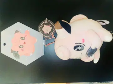 진화의 돌 피피