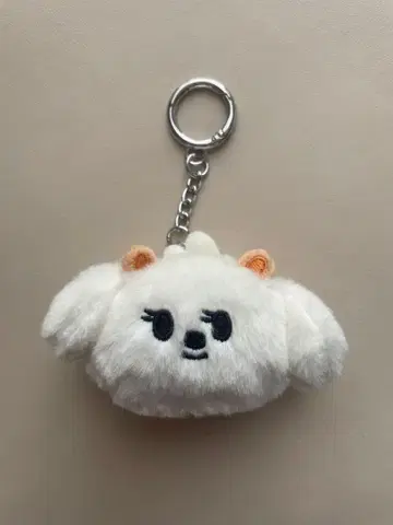 뿔바투 TXT 범규 페이스 키링