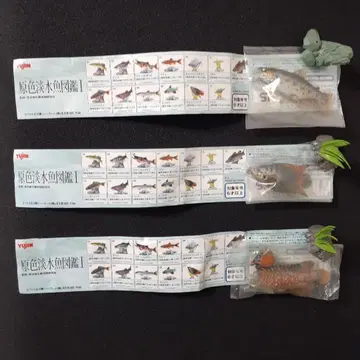 카이요도 외 해양 생물 피규어 7체 세트