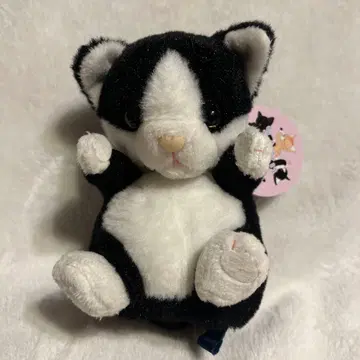 택 포함 새상품 천사의 장난 WH&BK 검은 고양이