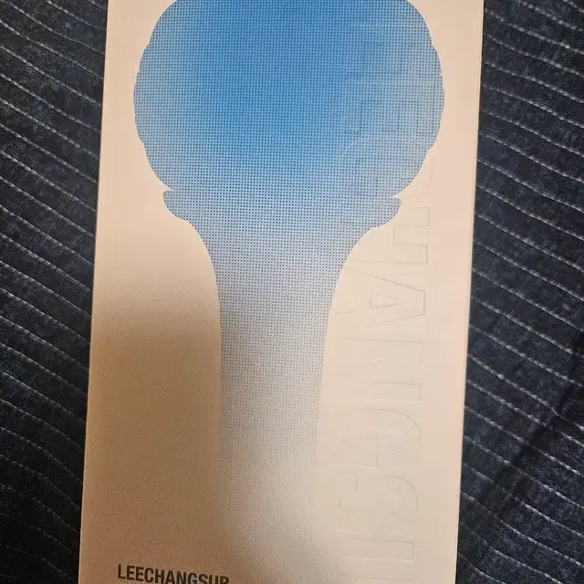 이창섭 콘서트 응원봉