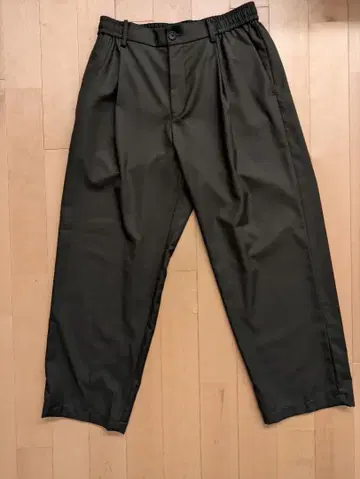 PLST 플라스테 레이온 블렌드 와이드 팬츠