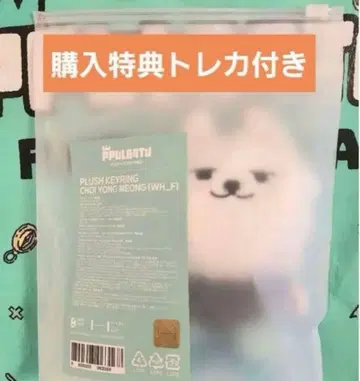 TXT 뿌르바투 파인딩 모아 영문 플러시 키링