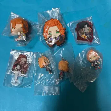 트위스테 케이트 묶음 판매