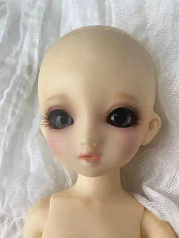 보크스 유SD 카논 1st