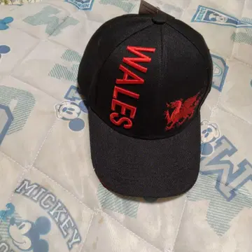 Wales 블랙캡 택 포함 새상품