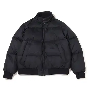 THE NORTH FACE PURPLE LABEL 다운 자켓 XL