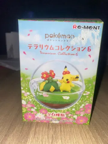 포켓몬 테라리움 컬렉션 6