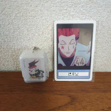 히소카 헌터 x 헌터 유니버셜