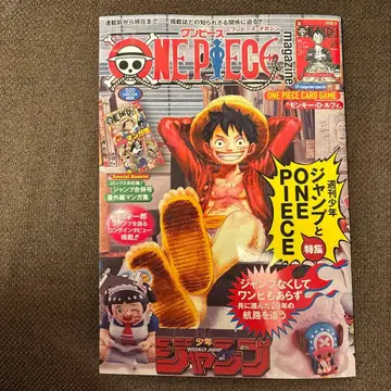 ONE PIECE magazine 원피스 매거진 카드 포함