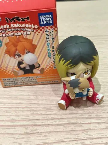 하이 앤 시크 하이큐