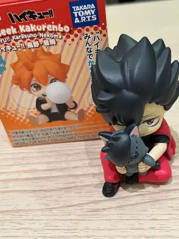 하이앤드 시크 하이큐