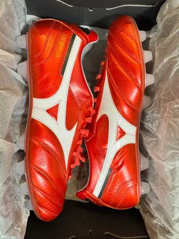 모렐리아 II JAPAN 루비 레드