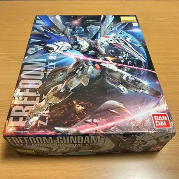 MG 프리덤 건담 Ver2.0