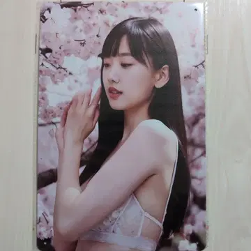 양철 간판 미녀