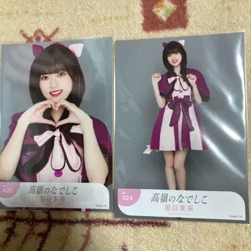 호시야 미라이 브로마이드 할로윈 타카네노 나데시코 타카네코