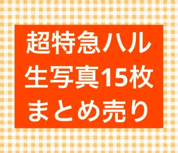 초특급 하루 브로마이드 15장 묶음 판매
