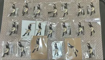 하이큐 미야 오사무 크로니클 아크피 아크릴 스탠드