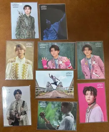 [ 낱개 판매 ] 미세스 그린애플 바벨 와카이 히로토 포토 카드