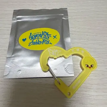 skzoo 시크릿 아크릴 카라비너 포가리