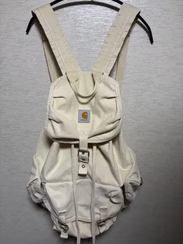칼하트 백팩 백팩