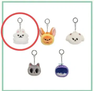 연몽 페이스 키링 TXT finding moa