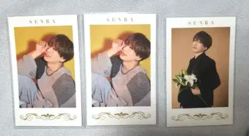 우라시마사카타센 센라 폴라로이드 포토 카드 미니 포토 카드 랜덤 세트