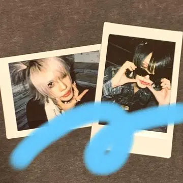 KAKUMAY 마코토 폴라로이드 묶음 판매