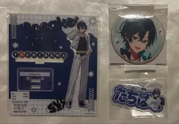 스니스테 타치바나 묶음 판매