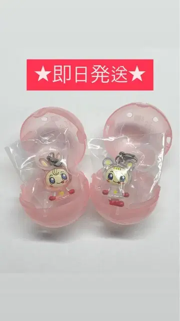 나루미야 캐릭터 베리에짱 블루베리에짱 메지루시 액세서리