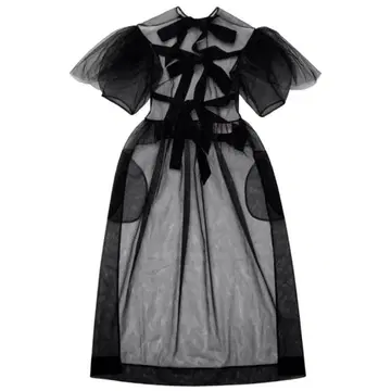 시몬 로샤 H&M 시어 원피스