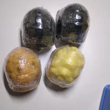 [미개봉] 생물 도감 거북이 시리즈