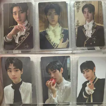 ENHYPEN 성훈 트레이딩 카드 33장 세트