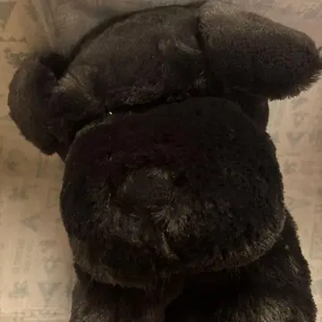 축 늘어진 슈나우저 모노톤 봉제 인형