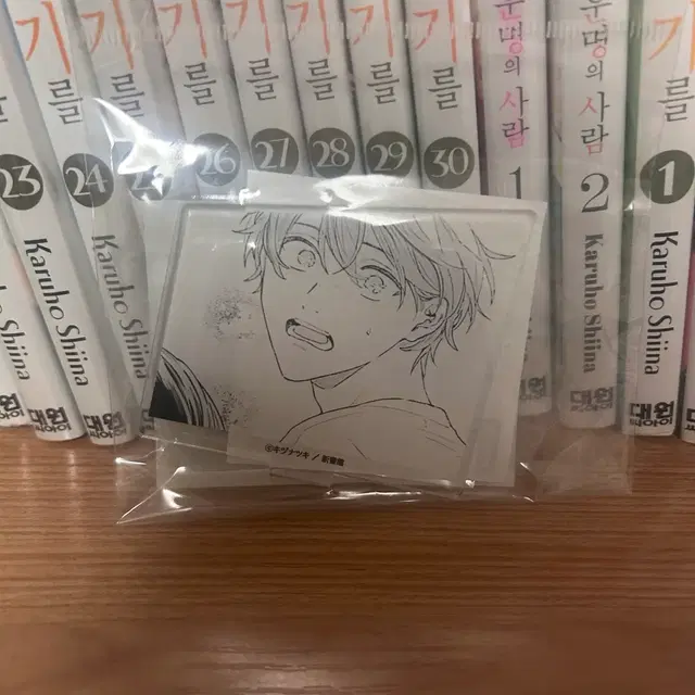 미개봉 기븐 기븐전 원화 사토 마후유 아크릴 스탠드