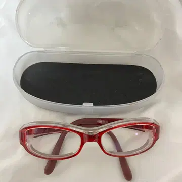 꽃가루 알레르기용 안경