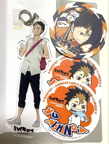 하이큐 니시노야 유우 정리 4점