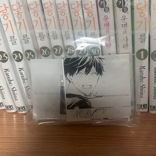 미개봉 기븐 기븐전 우에노야마 리츠카 아크릴 스탠드