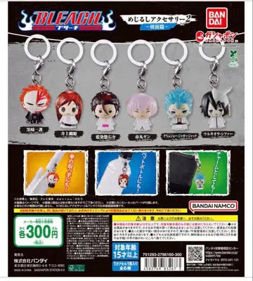 BLEACH 메지루시 액세서리 2 아란칼 편 컴프