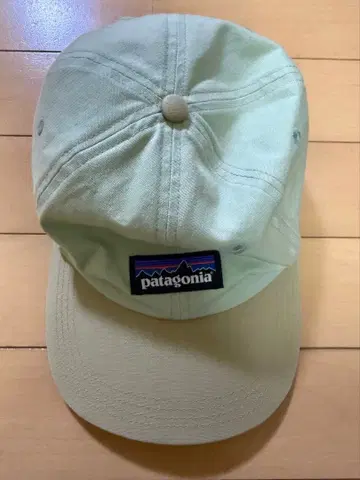 patagonia 캡 라이트 그린