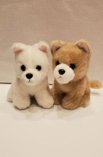 포메시바 봉제 인형 2체 세트 화이트 브라운