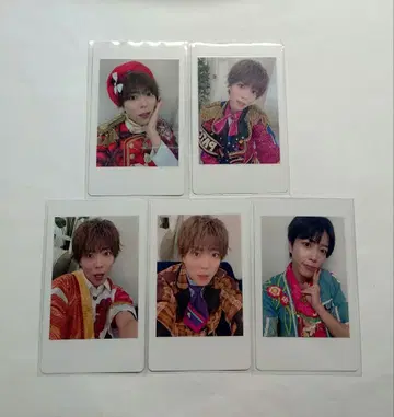 팬더드래곤 파라곤 하피카 팟치