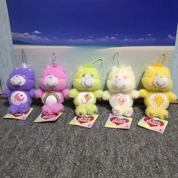 케어베어 양모 펠트풍 마스코트 2 전종 세트